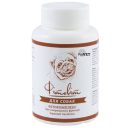 ProVET Фитовит - Витаминно-минеральная добавка для собак (для улучшения пищеварительной системы)