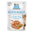 Brit Care Cat pouch влажный корм для кошек (индейка с креветками в желе)
