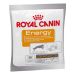 Royal Canin (Роял Канин) Energy - Крокеты для дрессировки активных собак и щенков