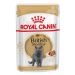 Royal Canin (Роял Канин) British Shorthair Adult - Консервированный корм для взрослых кошек британской короткошерстной породы (кусочки в соусе)