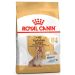 Royal Canin (Роял Канин) Yorkshire Ageing 8+ - Сухой корм для пожилых собак породы йоркширский терьер