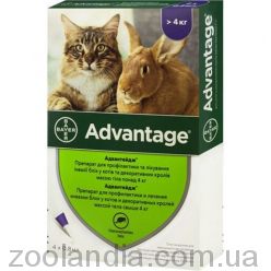 Advantage (Адвантейж) капли против эктопаразитов для кошек свыше 4 кг (1 пипетка)