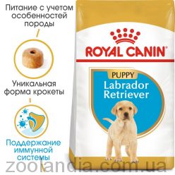 Royal Canin (Роял Канин) Labrador Retriever Puppy - корм для щенков лабрадор ретривера