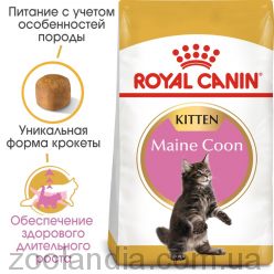 Royal Canin (Роял Канин) Kitten Maine Coon - корм для котят породы породы Мэйн Кун