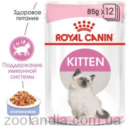 Royal Canin (Роял Канин) Kitten Instinctive в желе консервированный корм для котят до 12 месяцев