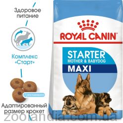 Royal Canin (Роял Канин) Maxi Starter - первый твердый корм для щенков крупных пород