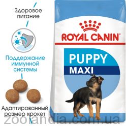 Royal Canin (Роял Канин) Maxi Puppy - корм для щенков крупных пород