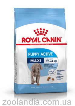 Royal Canin (Роял Канін) Maxi Puppy Active – Сухий корм для цуценят великих порід з високими енергетичними потребами