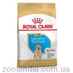 Royal Canin (Роял Канін) Labrador Retriever Puppy - корм для цуценят лабрадор ретрівера