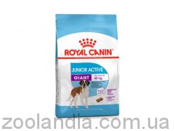 Royal Canin (Роял Канін) Giant Junior Active – корм для цуценят гігантських порід з високими енергетичними потребами від 8 до 18/24 міс.