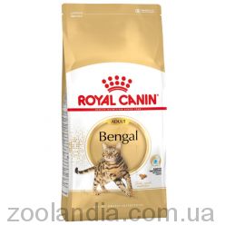 Royal Canin (Роял Канин) Bengal Adult - корм для взрослых кошек породы Бенгальская