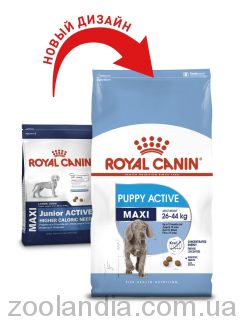 Royal Canin (Роял Канин) Maxi Puppy Active - корм для щенков крупных пород с высокими энергетическими потребностями