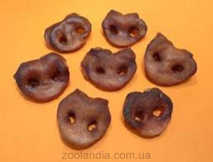 Лакмир. лакомство для собак, пятаки свиные