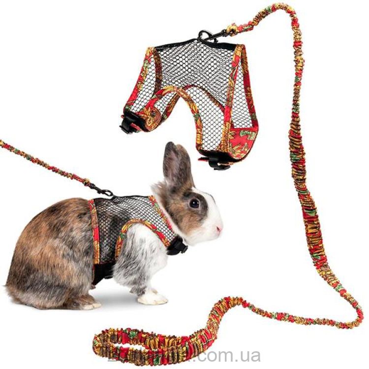 Flamingo (Фламинго) Rabbit Harness With Art Joy Leash - АРТ Джой Шлей и поводок для кролика