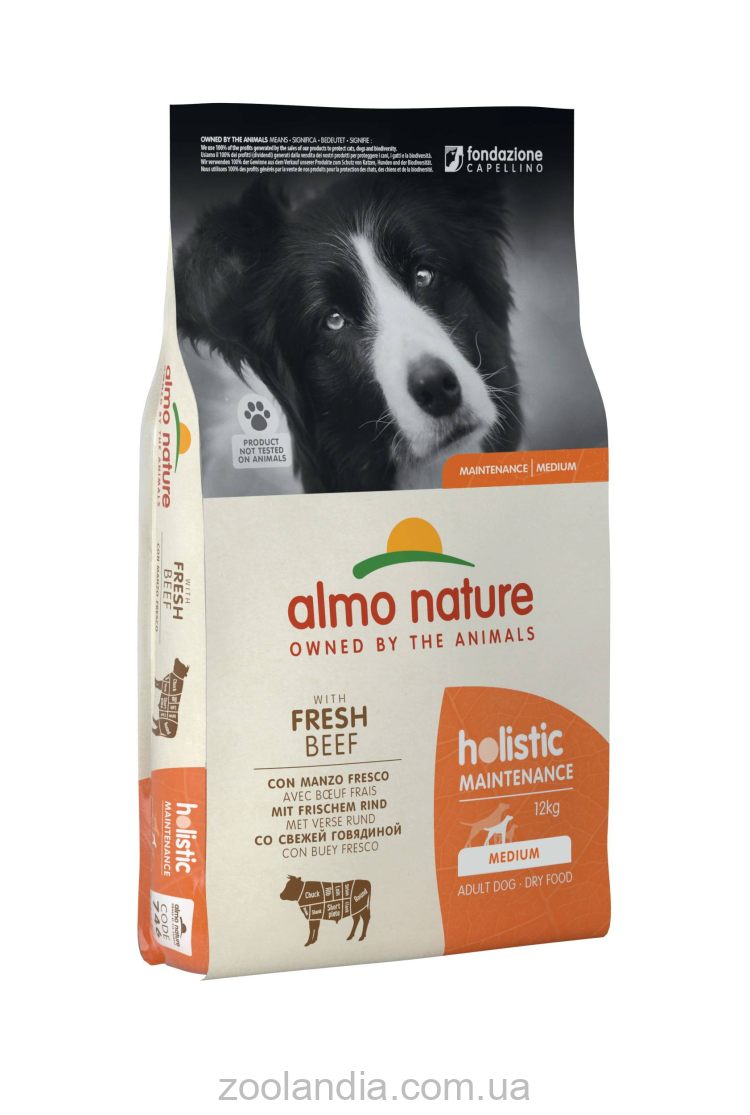 Almo Nature (Альмо Натюр) Holistic Dog M - Сухой корм взрослых собак средних пород со свежей говядиной
