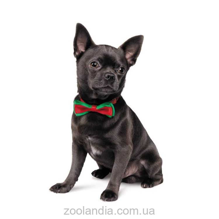 Pet Fashion Бабочка NEW YEAR