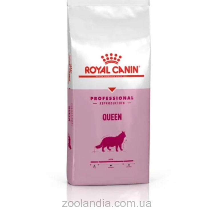 Royal Canin (Роял Канин) Queen - Сухой корм для кошек