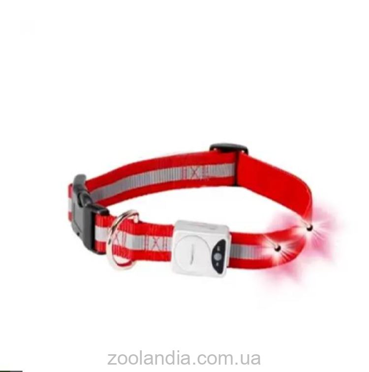 Camon Vision LED - Ошейник светящийся для собак