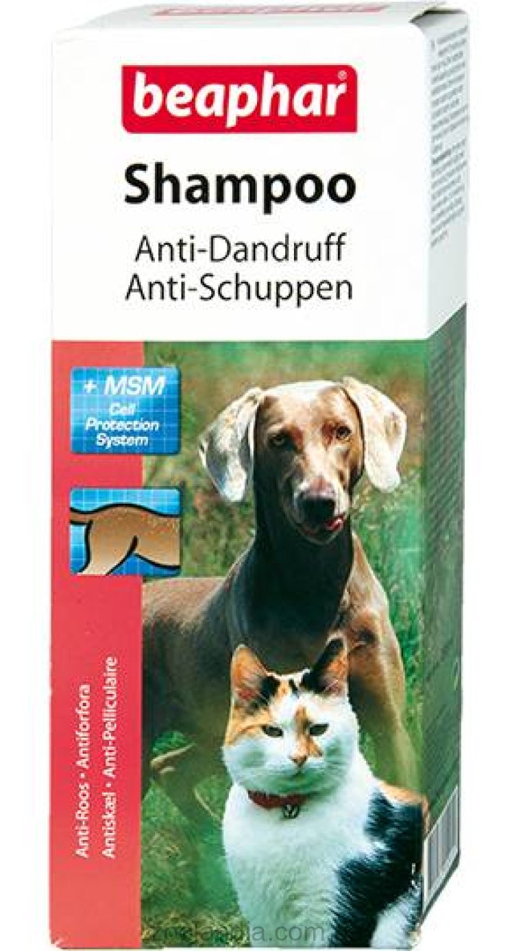 Beaphar (Беафар) Shampoo Anti-Dandruff Шампунь от перхоти для кошек и собак