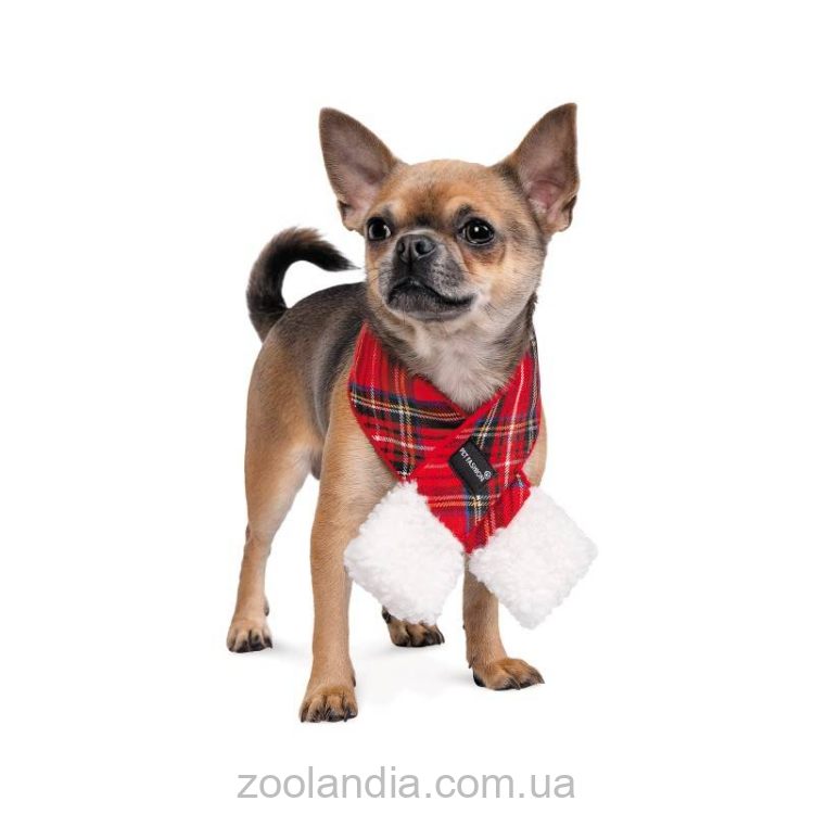 Pet Fashion (Пет Фешн) Happy – Шарф зимний для котов и собак (красный)