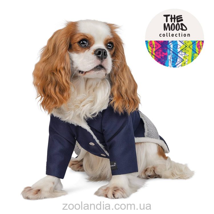 Pet Fashion (Пет Фешн) The Mood Sirius - Жакет для собак