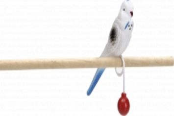 Pet Pro (Пет Про) Попугай на кольце игрушка для птиц