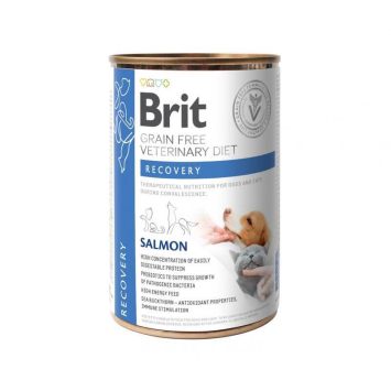 Brit (Брит) VetDiets Recovery Dog & Cat - Беззерновой влажный корм с лососем для собак и кошек в период выздоровления