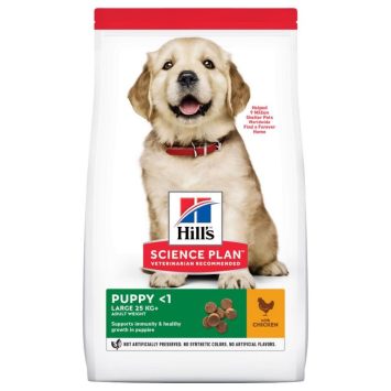 Hills (Хилс) SP Healthy Development Puppy Large Breed - корм для щенков крупных пород с курицей