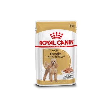 Royal Canin (Роял Канін) Poodle - Вологий корм для собак породи для пудель