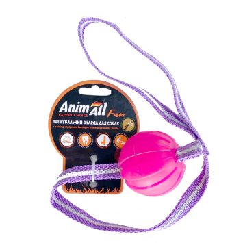 AnimAll (ЕнімАлл) Fun Dog - Игрушка для собак, тренинг мяч со шлейкой, 6 см