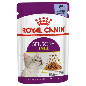 Royal Canin (Роял Канин) Sensory Smell in Jelly – Влажный корм с мясом и рыбой для взрослых кошек, стимулирующий обонятельные рецепторы (кусочки в желе)