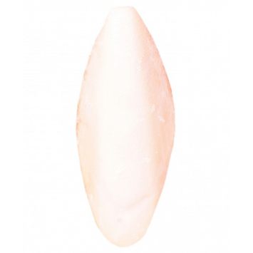 Trixie (Трикси) - Сепия минерал (панцирь каракатицы), 11см