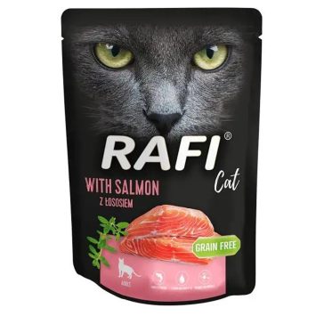 Rafi (Рафи) Wet Cat Adult Food With Salmon - Влажный корм для взрослых котов с лососем
