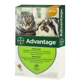 Advantage (Адвантейж) - Капли против эктопаразитов для кошек менее 4 кг (1 пипетка)