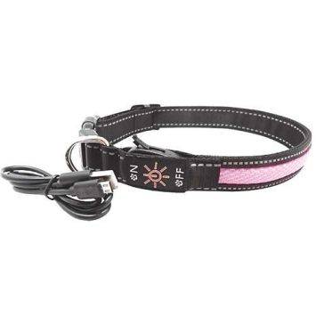 AnimAll (ЭнимАлл) Collar LED - Ошейник светящийся для собак (с подзарядкой USB), 30-40 см