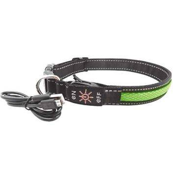 AnimAll (ЭнимАлл) Collar LED - Ошейник светящийся для собак (с подзарядкой USB), 40-50 см