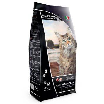 Bio Form (Біо Форм) Cat Adult Manzo E Pollo сухий корм для котів з куркою та яловичиною