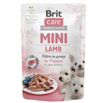 Brit Care (Брит Кеа) Mini Puppy - консервы для щенков мелких пород (филе ягненка в соусе)