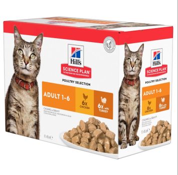 Hill's (Хиллс) Science Plan Adult Multipack - Влажный корм для кошек мультибокс курица/индейка