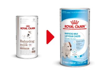 Royal Canin (Роял Канин) BabyDog Milk - заменитель молока для щенков