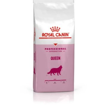 Royal Canin (Роял Канін) Queen - Сухий  корм для котів