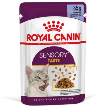 Royal Canin (Роял Канин) Sensory Taste in Jelly – Влажный корм с мясом для взрослых кошек, стимулирующий вкусовые рецепторы (кусочки в желе)
