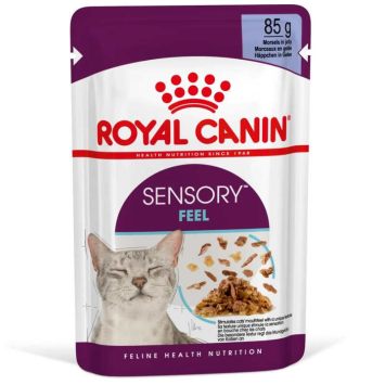 Royal Canin (Роял Канин) Sensory Feel in Jelly – Влажный корм с мясом для взрослых кошек, стимулирующий осязательные рецепторы ротовой полости (кусочки в желе)