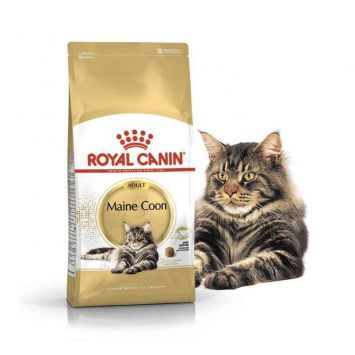 Royal Canin (Роял Канин) Maine Coon - Сухий корм для взрослых кошек породы Мейн Кун