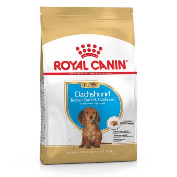 Royal Canin (Роял Канин) Dachshund Puppy - Сухой корм для щенков таксы