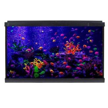 Resun (Рисан) WPG 60 GloFish - Аквариум с комплектом оборудования, 56 л, 59,3х30,8х36,6 см