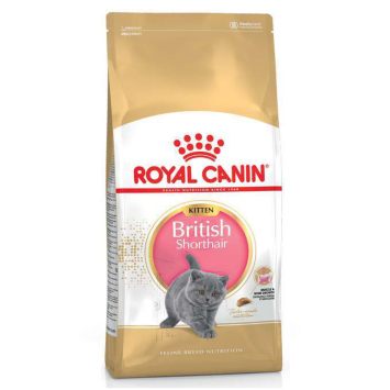 Royal Canin (Роял Канин) Kitten British Shorthair - Сухой корм для котят породы Британская короткошерстная