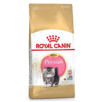 Royal Canin (Роял Канин) Kitten Persian - Сухой корм для котят персидских пород