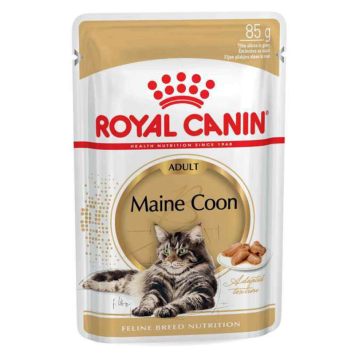 Royal Canin (Роял Канин) Maine Coon Adult - Консервированный корм для взрослых кошек породы мейн-кун в возрасте старше 15 месяцев (кусочки в соусе)