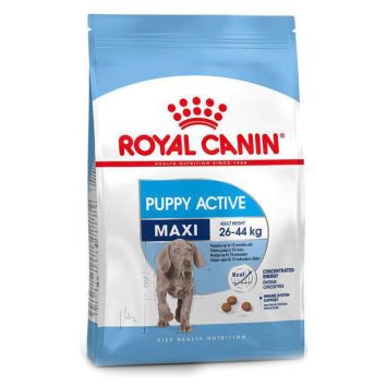 Royal Canin (Роял Канин) Maxi Puppy Active - Сухой корм для щенков крупных пород с высокими энергетическими потребностями
